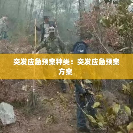 突发应急预案种类：突发应急预案方案 