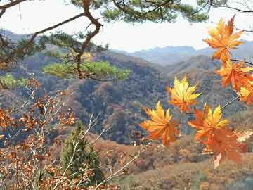 孙悟空词条遭误改，原是印度神？揭秘孙悟空与印度的神秘联系