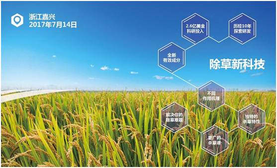 种子帝网站最新,种子科技，引领农业革新