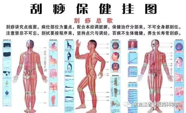 初告白 第102页