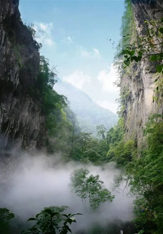 最新云短信引领心灵之旅，启程欣赏自然美景