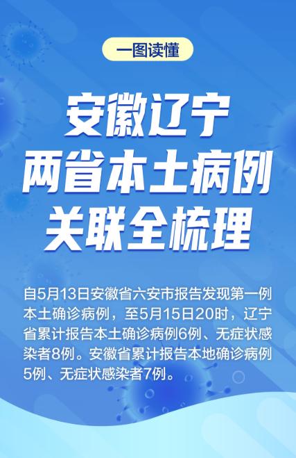 最新疫情口号全面评测与介绍，28日最新口号更新