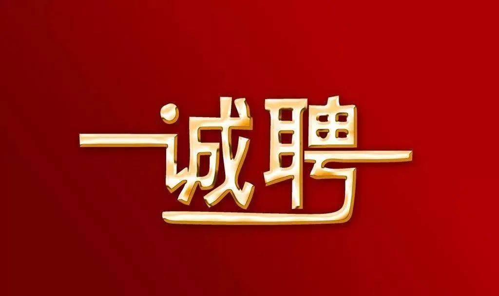 29日高州招聘网最新招聘趋势与个人选择探讨