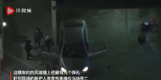 列车遭遇野猪悲剧，机械师查看现场被撞身亡