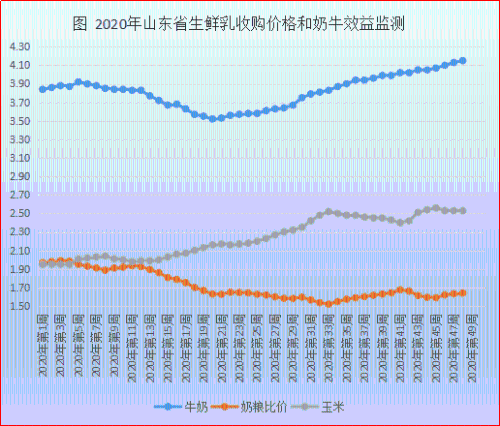 济宁玉米最新行情解析，价格走势、特性体验与竞品对比（深度解析）