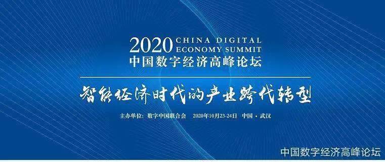 刘兰娟，时代之声与力量之典范——深度解析其在特定领域的卓越贡献与影响力