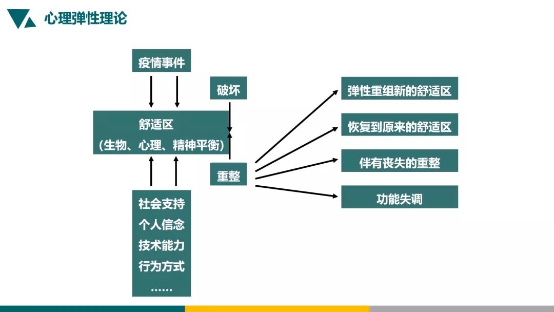 科技赋能抗疫，实时掌握疫情死亡人数动态——最新报告揭示11月3日疫情最新死亡人数