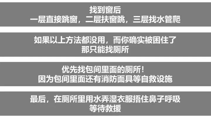 11月3日碳九新闻深度解析，多方观点碰撞与个人立场阐述