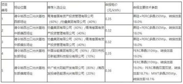 掌握光伏中标秘籍，从入门到精通的每一步指南——最新光伏中标解析