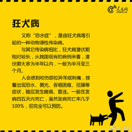 十一月暖阳下的奇迹，艾滋病治愈最新消息揭秘