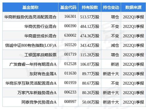 揭秘西部矿业最新动态，行业热点展望与未来发展趋势（11月4日更新）