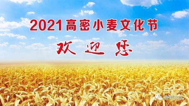 揭秘安徽小麦最新价格，小巷深处的麦香天堂与特色小店的价格揭秘