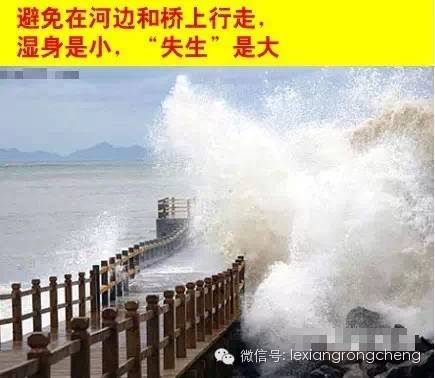 台风下的温馨日常，共度风雨时光——8号台风最新现场消息