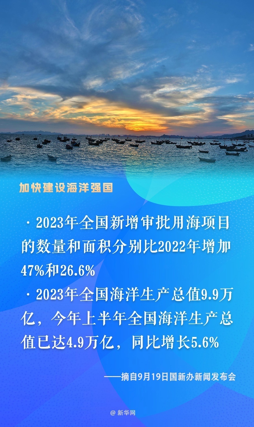 鲍新进展揭秘，启程寻找内心宁静与欢笑的自然探索之旅——鲍的新篇章 11月5日更新