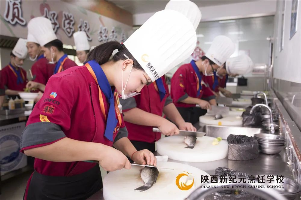 长沙做饭阿姨智能招聘系统上线，科技赋能，智能烹饪新纪元启动