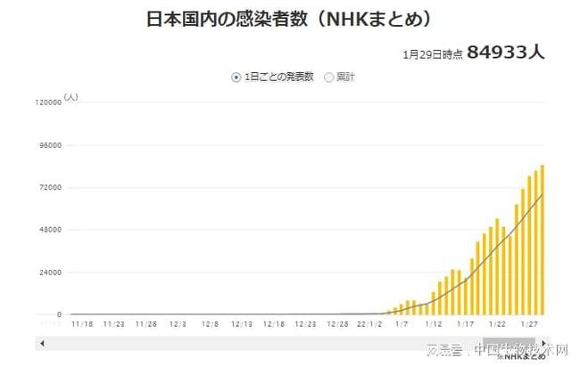 日本东京最新确诊人数报告，聚焦要点分析与实时数据更新