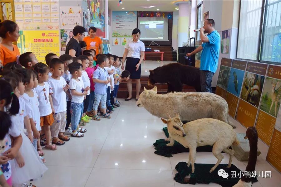 揭秘动物世界新动态，探索特色小店与动物世界的非凡之旅（11月7日动态更新）