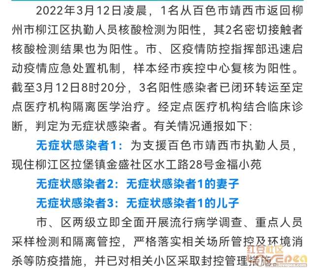 印度尼西亚最新疫情通报深度解析，特性、体验、竞品对比与用户洞察