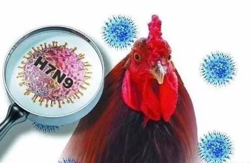 陕西地区最新H7N9疫情动态深度解读与案例分析（2017年11月8日）