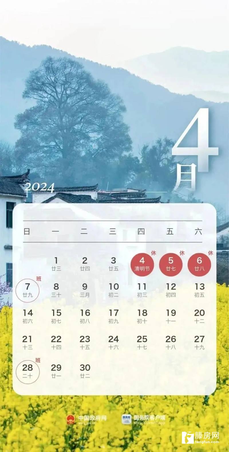 2024年11月8日山东地震网最新消息获取解析步骤指南（适合初学者与进阶用户）