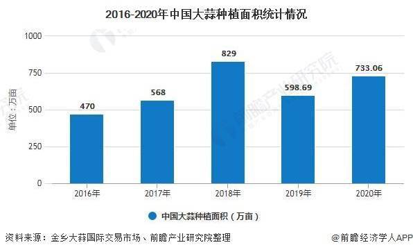 11月8日全国大蒜价格最新行情分析，市场动态聚焦大蒜价格变动报告