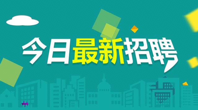 揭秘，最新公司命名重磅发布，11月9日最新公司名字揭晓