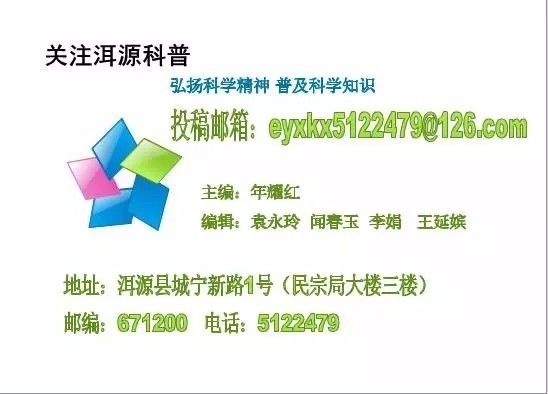 新奥天天精准资料大全,安全性策略解析_移动版VGH826.13