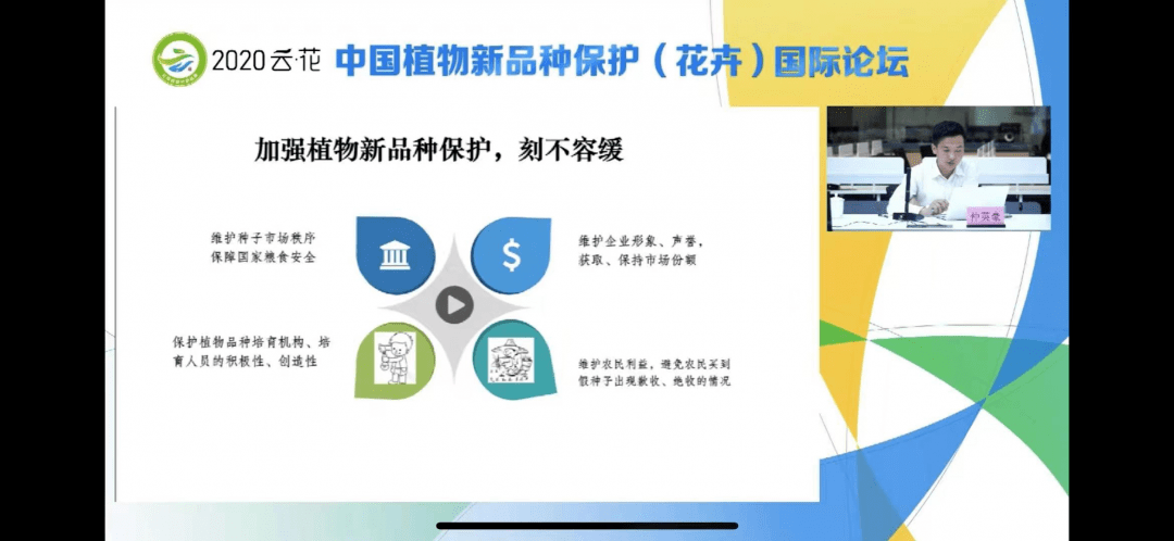 2024新澳门天天开好彩大全正版,最新研究解析说明_参与版WQC460.97