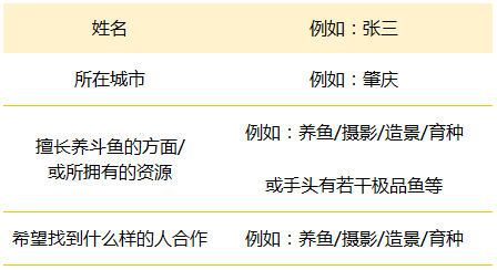 澳门一码一肖一待一中四不像详解：移动精选版KTQ375.98最佳解读