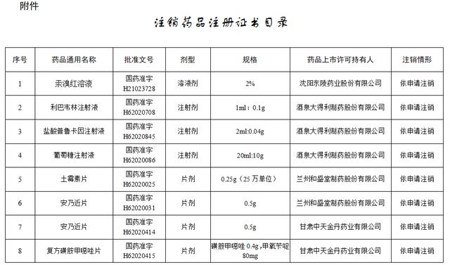 2024新奥精准正版资料,最新热门解答定义_冒险版RCD119.91