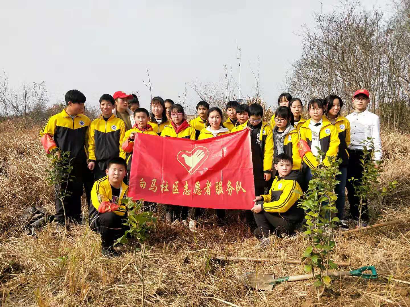 揭秘龙腾三义公棚最新动态与未来发展蓝图，十一月最新消息一览