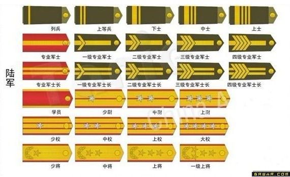 往年11月10日陆军军衔探析与观点概述