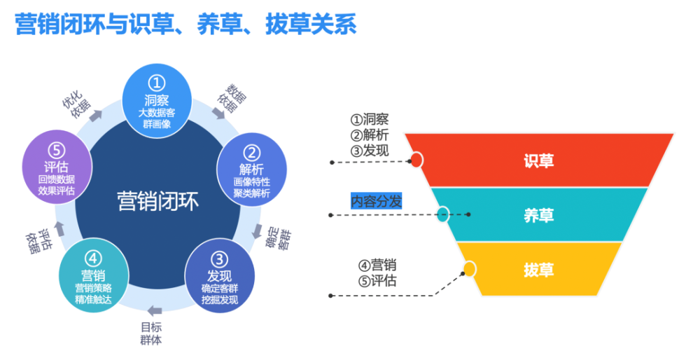 本月金融行业最新资讯聚焦，解读某某观点的观察与解读