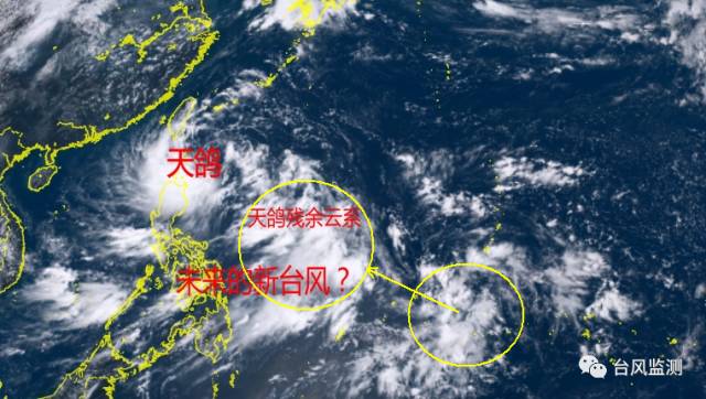 天鸽台风下的探险之旅，追寻自然美景与内心平静的旅程最新消息报道