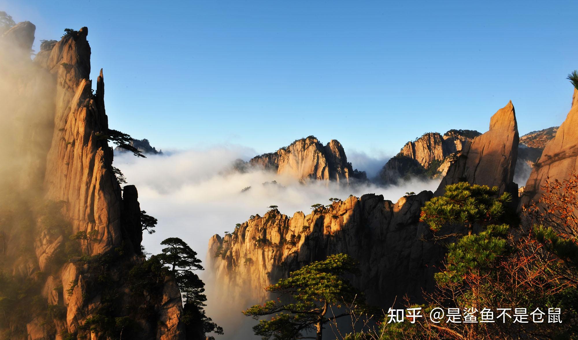 洪岩辉黄山之行最新消息揭秘，2024年11月10日的奇遇与重磅更新