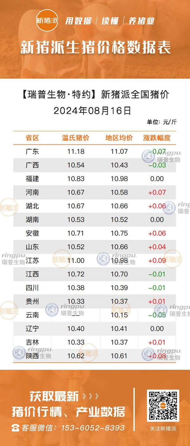 广东历史上的11月10日，放假之旅与自然美景探索之旅，寻找内心平静的一天