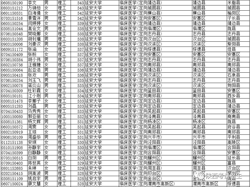 探秘医学定向生新政策下的隐藏宝藏店，医学明珠深度解析