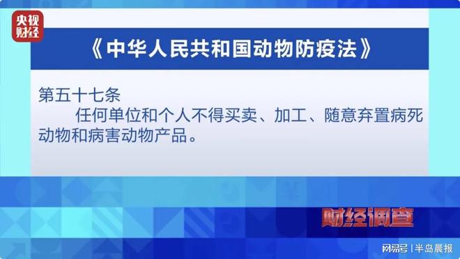 延川疫情最新评测报告，特性、使用体验、竞品对比及用户群体深度分析