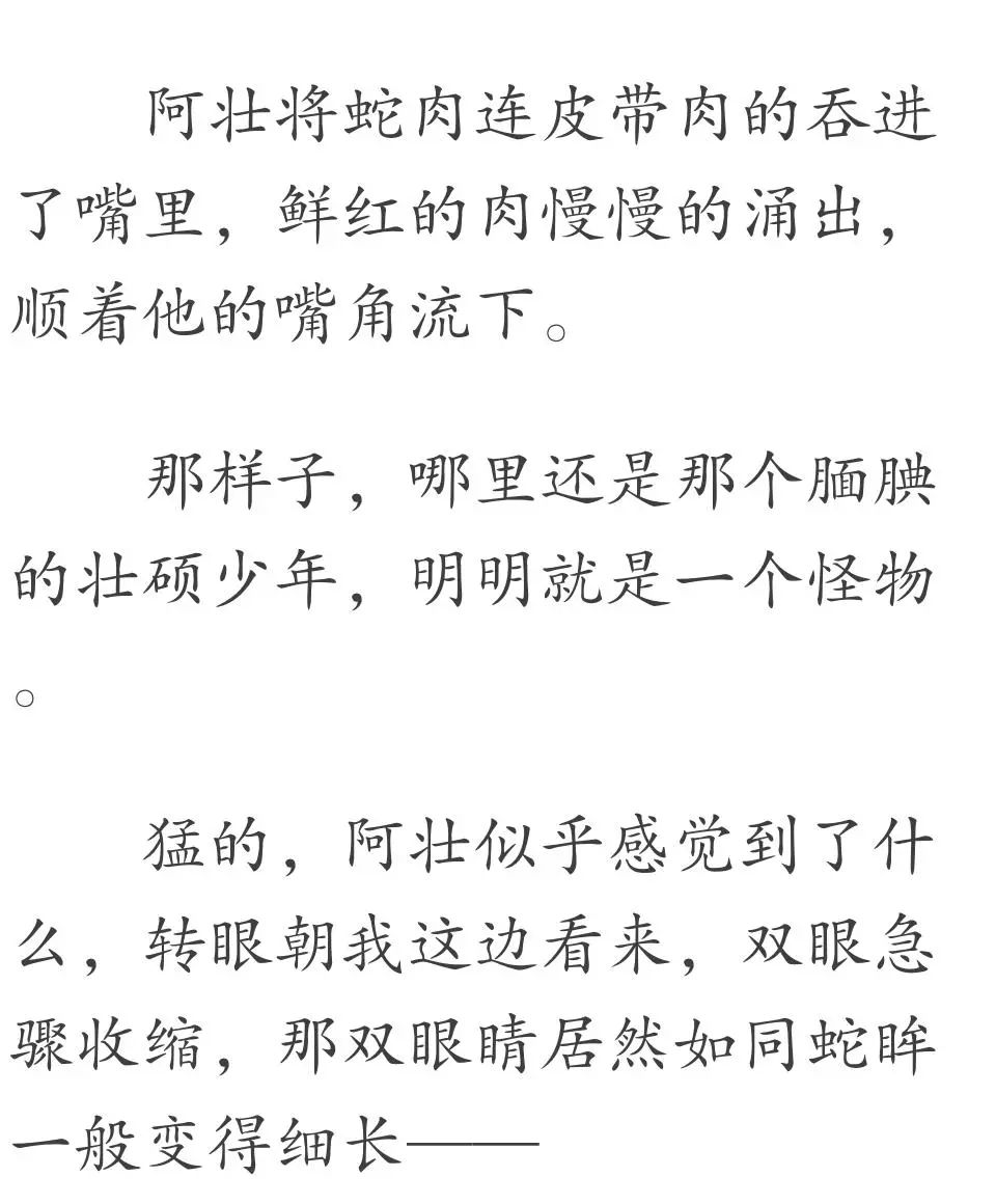 揭秘热门连载小说蛇骨最新动态与精彩内容