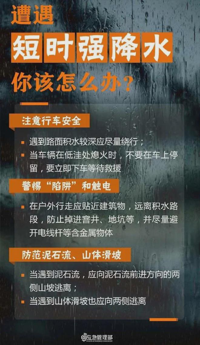 湖北黄梅11月12日最新任务指南，逐步完成学习与技能提升攻略