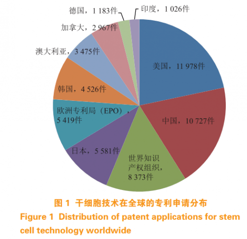 我国干细胞研究最新进展揭秘，11月13日更新动态速递