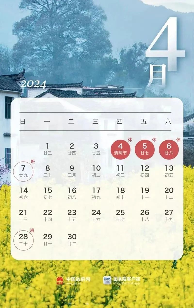 赤坚新作解析，最新小说发布与揭秘之旅（2024年11月13日）