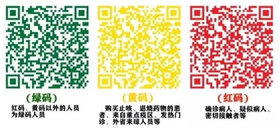 绿码通行新纪元，学习成就未来，2024年11月13日的跃迁与未来展望