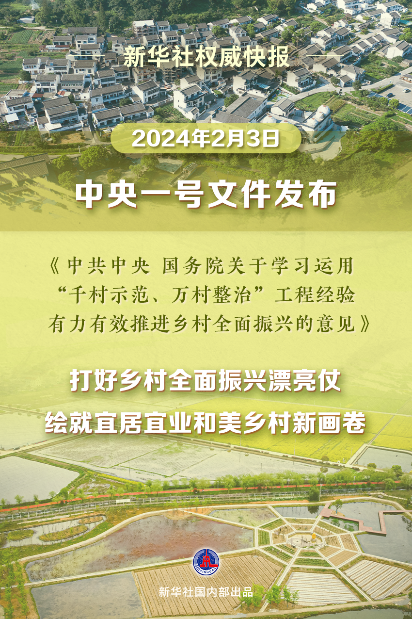 心灵的归途与时代回响，最新乡愁散文赏析（2024年11月14日）