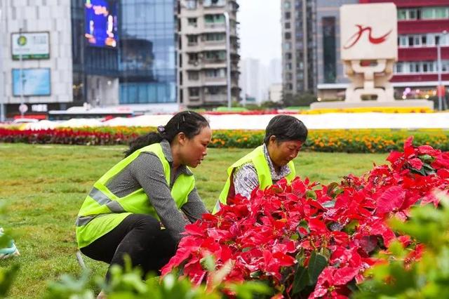 揭秘时尚潮流与商业发展的交汇点，杨家坪商圈最新动态报道（11月14日）