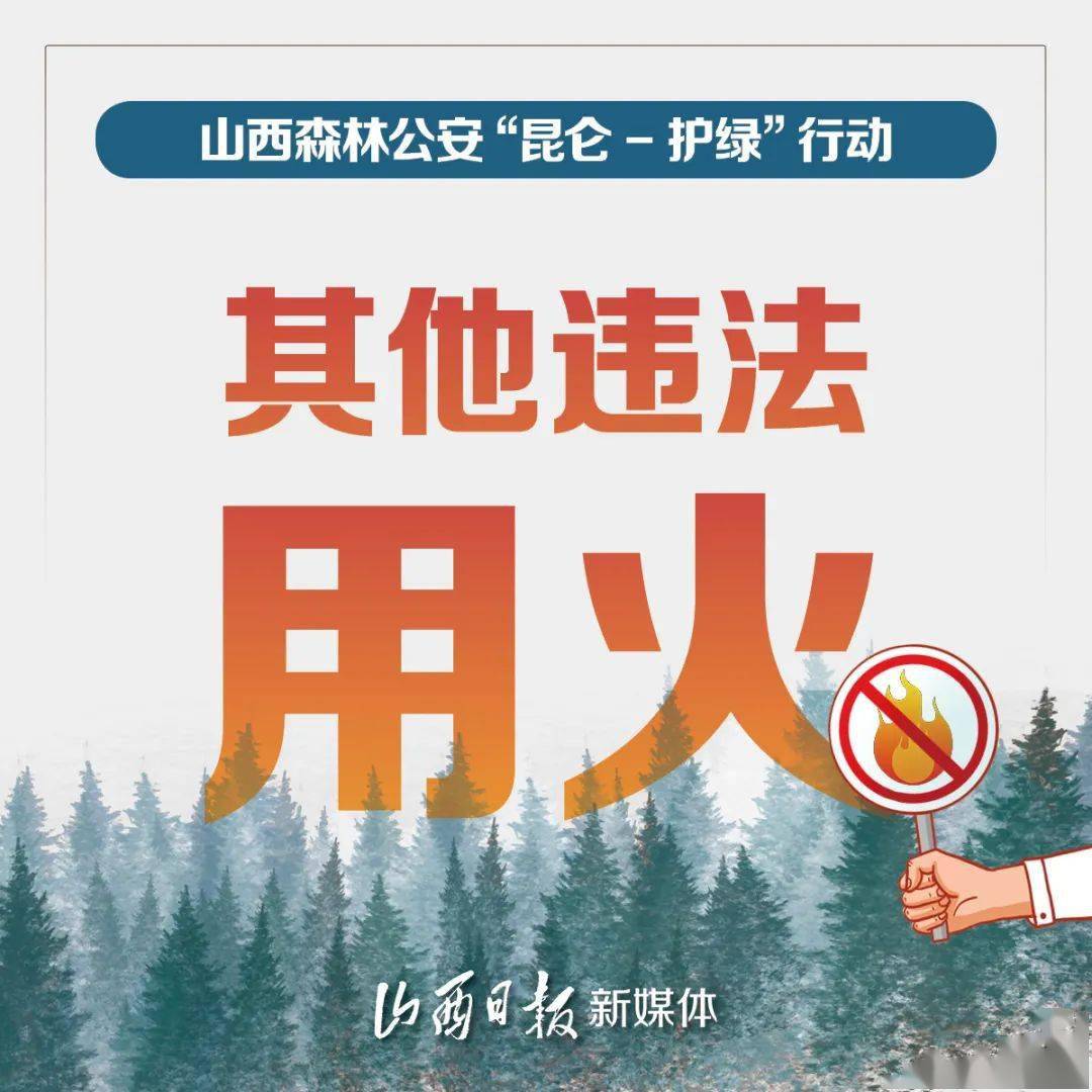 11月14日互火最新，心灵与自然的奇妙交融之夜