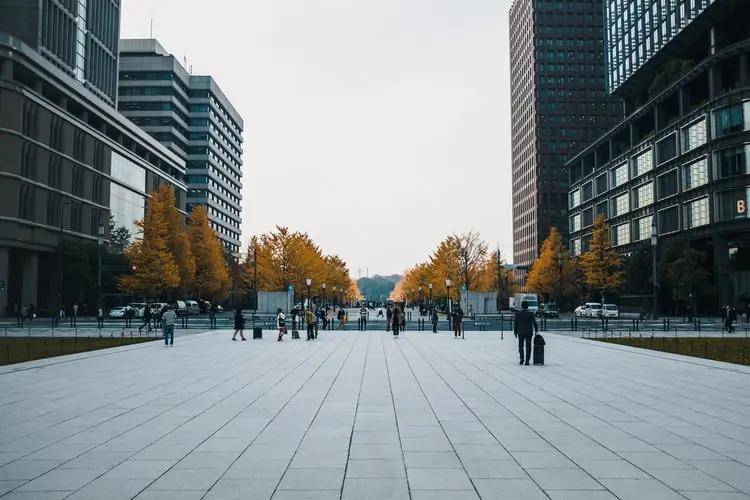 11月高中开学最新时间，利弊分析与个人观点