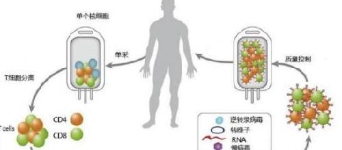 世界耳鸣治疗最新成果详解，掌握治疗技能，告别耳鸣困扰