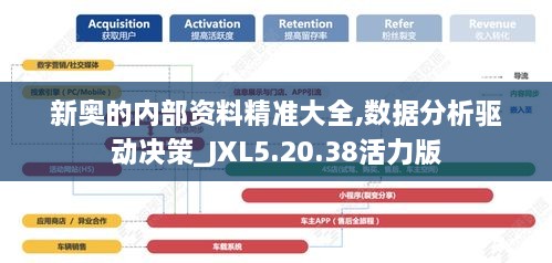 新奥的内部资料精准大全,数据分析驱动决策_JXL5.20.38活力版