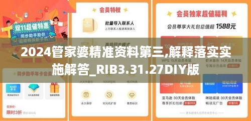 2024管家婆精准资料第三,解释落实实施解答_RIB3.31.27DIY版